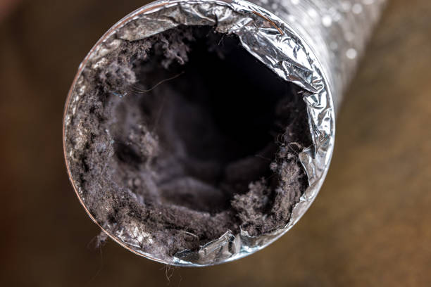 Best HVAC System Cleaning  in Charlotte, TN