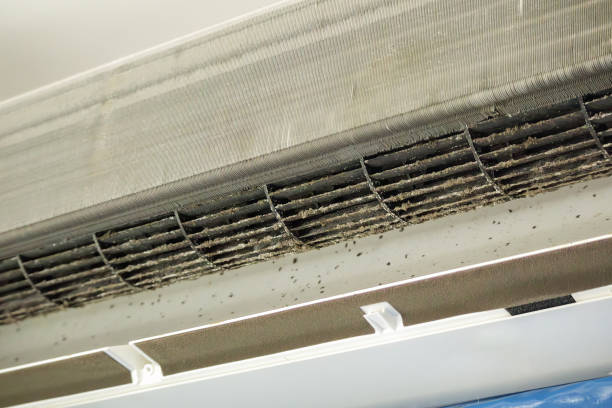 Best Air Duct Cleaning Near Me  in Charlotte, TN